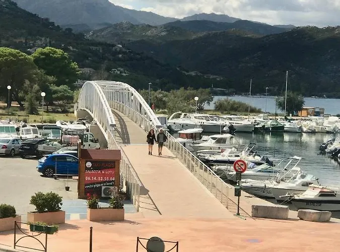 Plein Centre Florent Face Au Port Appartamento